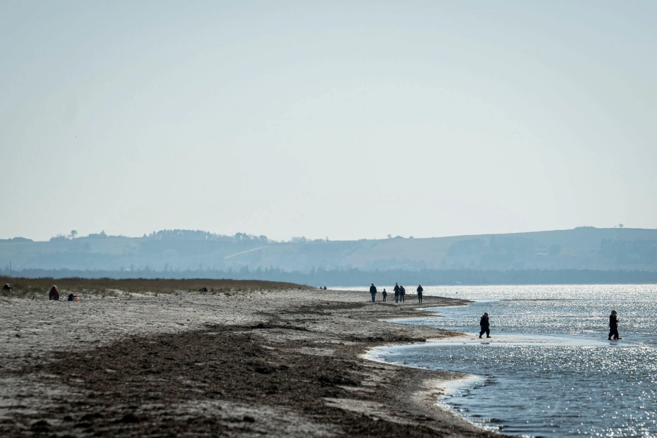 Billedet viser Gudmindrup Stand ved Sejerø Bugt, der er en ud af fire genoprettelsesområder, som Havnaturfonden vil sætte fokus på.