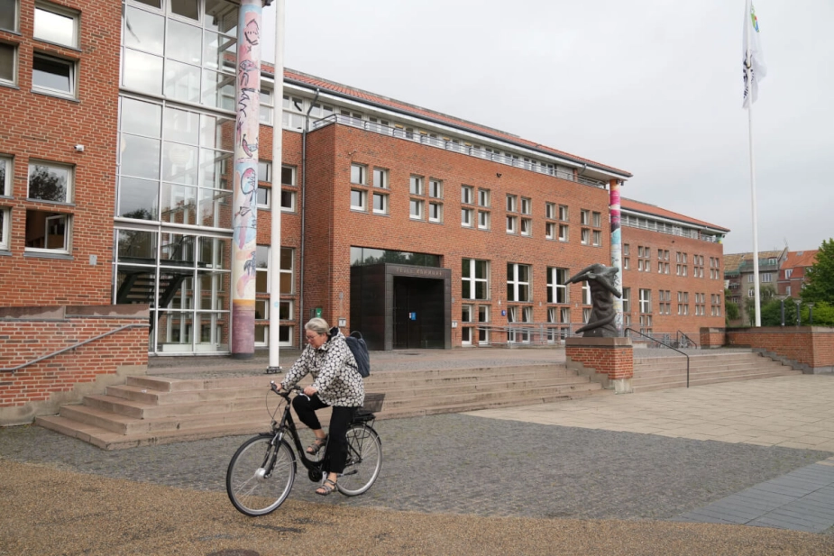 Holdningerne til den grønne mobilitet i Vejle blev sidste sommer beskrevet i Vejle Amts Folkeblad, som i en artikel citerede en kommentar fra den kommunikationsansvarlige på teknik- og miljøområdet, der fik påsat stillingsbetegnelse, selvom hun skrev fra sin private facebookprofil.