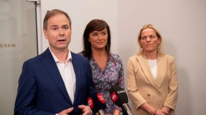 Ministre har svært ved at konkretisere stop af statslig administration