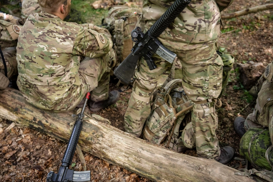 Oprustningen af forsvaret skaber muligheder for danske virksomheder.