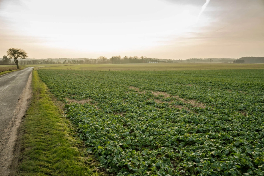Aftalen om den grønne trepart skal frem mod 2045 skabe mere plads til naturen med cirka 250.000 hektar udtaget landbrugsjord.