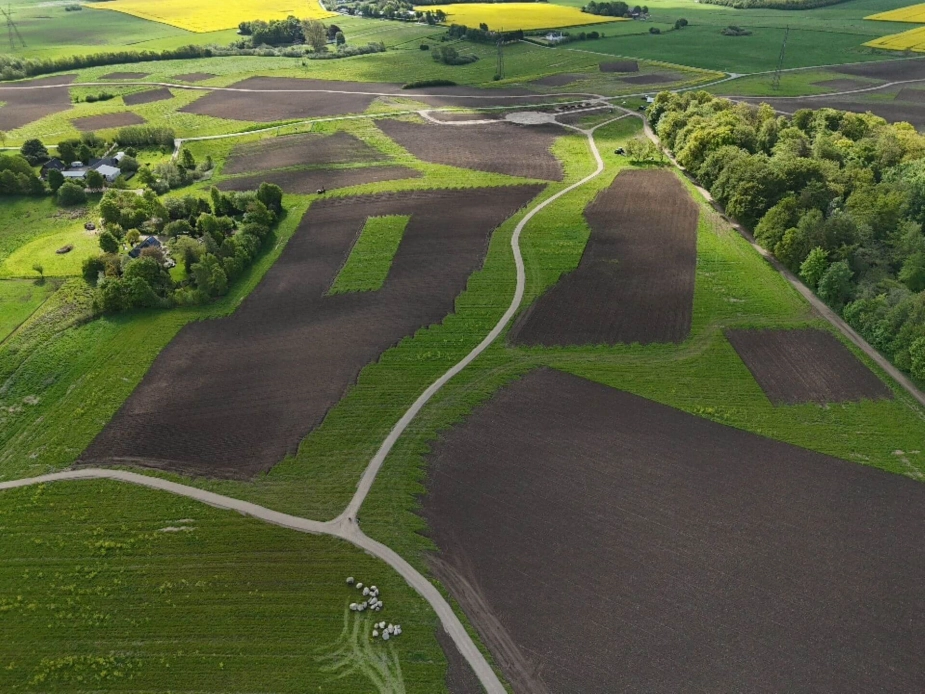Dronefoto fra Højballe Skov. I Højballe Skov sættes naturens udvikling i gang på flere forskellige måder, så landskabet kommer til at veksle mellem skov, lyse og åbne naturarealer, enge, vandhuller, moser og lavninger