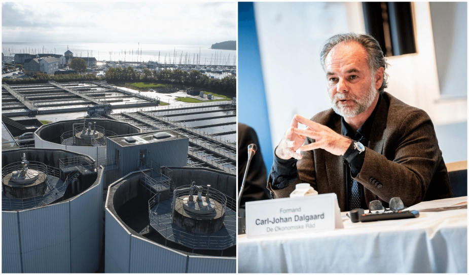 Regulering af vandsektoren er i fokus i De Økonomiske Råds efterårsrapport, hvor Carl-Johan Dalgaard er formand.