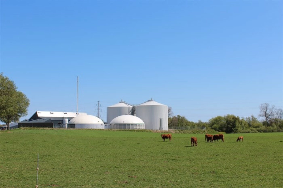 Der skal måske snart sættes et "TIL SALG"-skilt på biogasanlægget i Solrød.