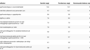 Disse parametre tæller mest i kåringen af Danmarks bedste kommune på ældreområdet
