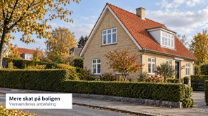 Vismænd: Boligejerne betaler for lidt i skat