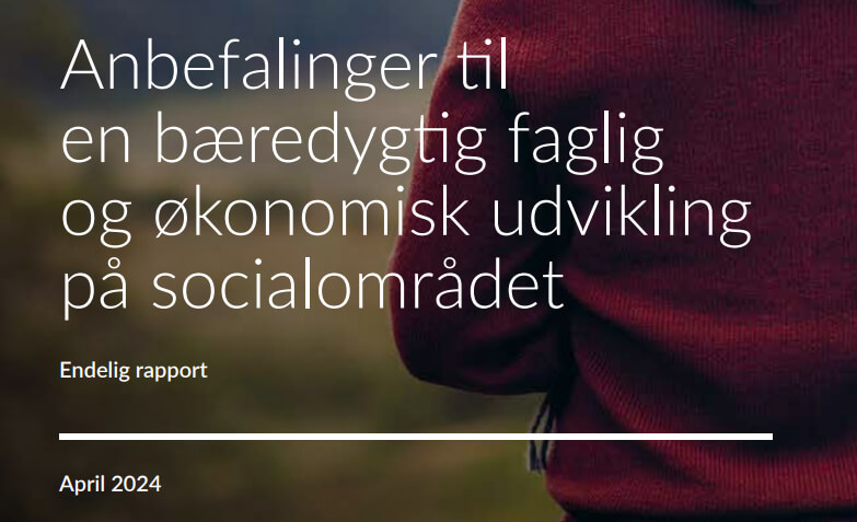 Her er overblikket over Tranæs-udvalgets afsluttende rapport