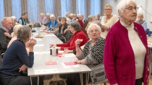 Så lidt af ældrereformens milliard kan ende med at gå til de ældre