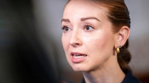 Akutplan for elnettet er vedtaget men branchen ønsker flere tiltag