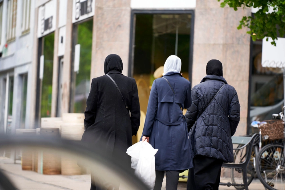 Flere migranter fra lande uden for EU er i arbejde end nogensinde før i Danmark – men kvinderne halter stadig efter. Kun 56,8 procent af kvinderne har job, viser ny analyse fra ROCKWOOL Fonden Berlin