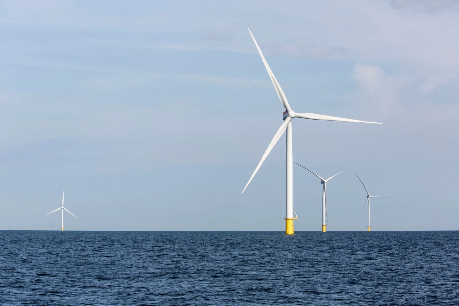 Kriegers Flak ud for Møn på 0,6 GW er den største danske havvindmøllepark. Den vil om et par år blive overgået af parken Thor, der opføres ud for Thorsminde på den jyske vestkyst og får en kapacitet på 1 GW - det samme som de tre parker, der sendes i udbud senere på året.