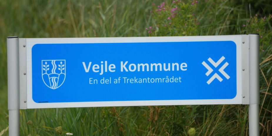 I Vejle Kommune vil de afsøge efterspørgslen efter lokalplejehjem, siger udvalgsformand.