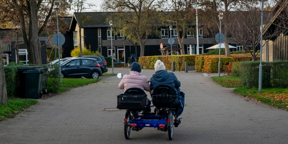 Såfremt en kommune ønsker at oprette et såkaldt lokalplejehjem skal bestyrelsen består af fire medlemmer, som tilsammen skal besidde en række kompetencer.