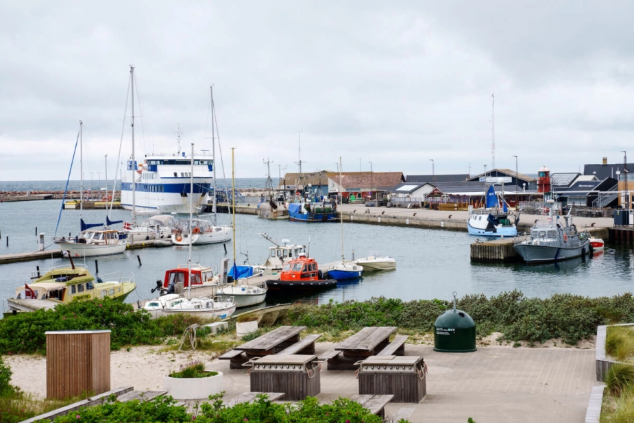Anholt i Kattegat er en af de tre nominerede til prisen som Årets Ø 2024-25.