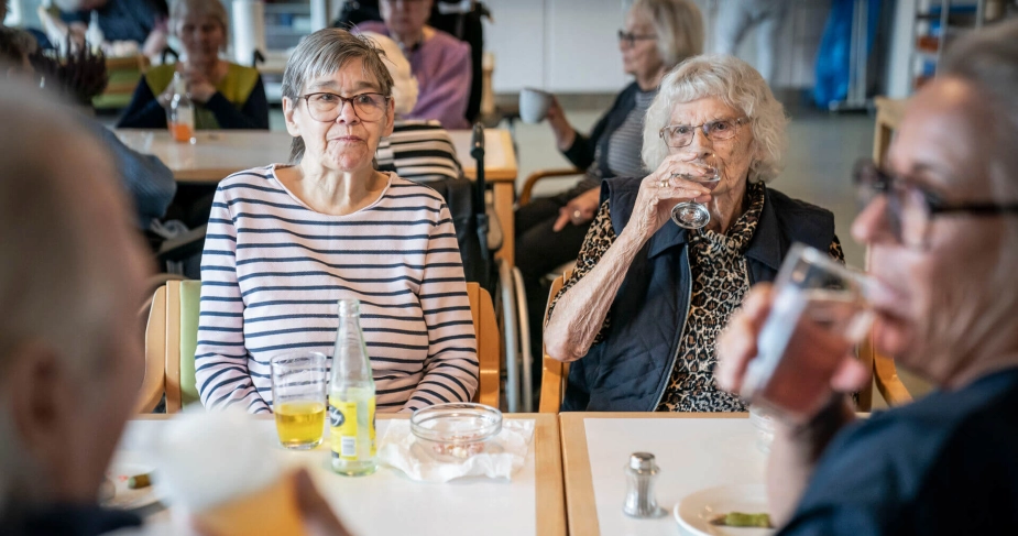 Partifarven på borgmesterkæden har ikke betydning for kvaliteten af ældreplejen, viser forskning.