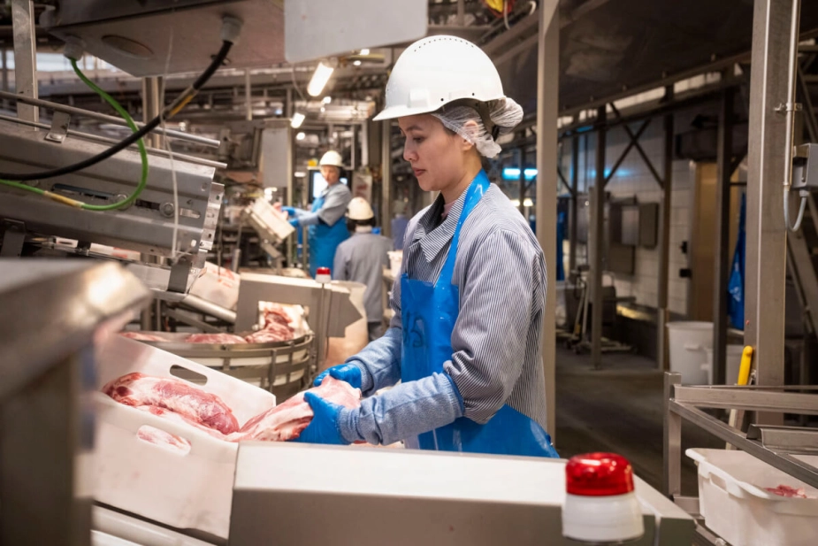 En analyse fra Arbejderbevægelsens Erhvervsråd viser, at de to brancher med størst fremgang har været industrien og vidensservice-branchen
