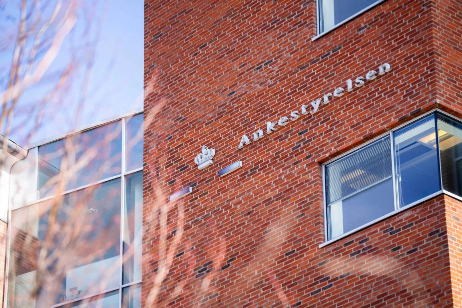 Hver år afgør Ankestyrelsen 1.200 kommunale sager på møder, hvor beskikkede medlemmer deltager. Det kaldes temamøder.