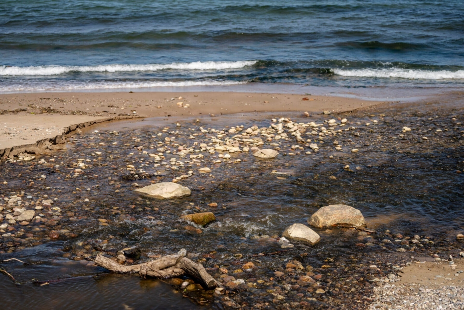 Rågeleje strand er en del af kyststrækningen i kystbeskyttelsesprojektet Nordkystens Fremtid.