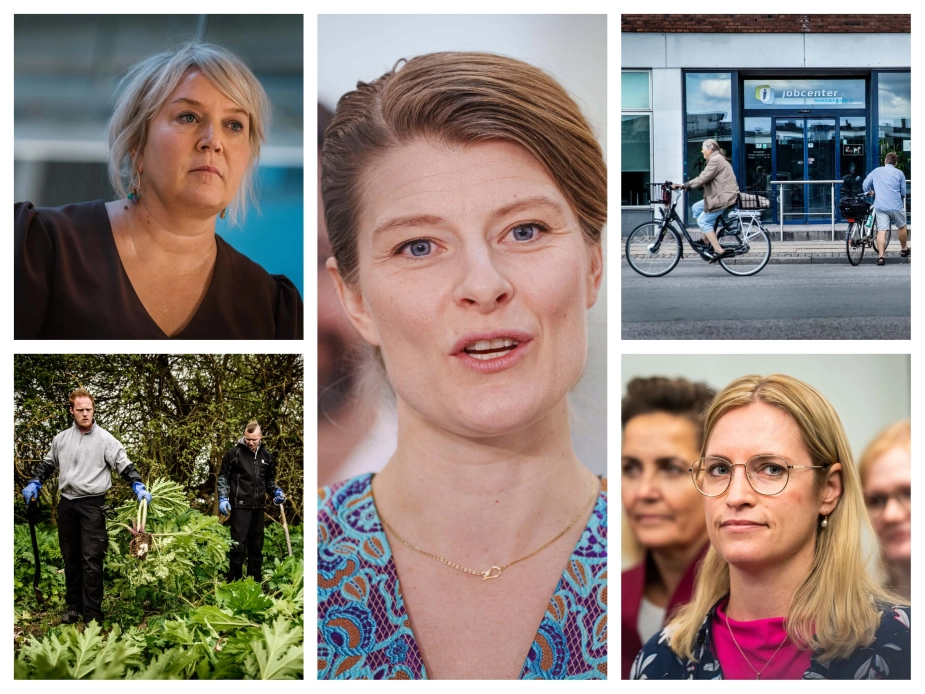 2025 tegner til at blive et skæbneår på beskæftigelsesområdet, skriver redaktør for NB-Beskæftigelse, Kasper Rasmussen.
I februar ventes regeringen anført af beskæftigelsesminister Ane Halsboe-Jørgensen (S), økonomiminister Stephanie Lose (V) og forsknings- og uddannelsesminister Christina Egelund (M) at præsentere en gennemgribende reform, som har været flere år undervejs.