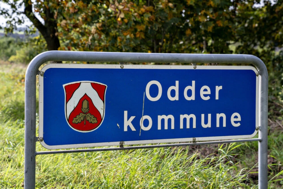 Østjyllands Politi har rejst sigtelser i sag om fældede træer i Odder Kommune. (Arkivfoto).