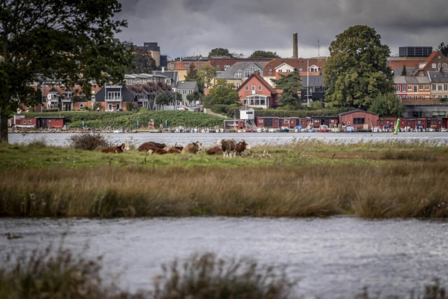 Farvandene omkring Sydfyn har været ramt af iltsvind, og derfor er det afgørende at nedbringe udledningen af kvælstof fra landbruget, påpeger formanden for den lokale grønne trepart på Sydfyn, Jesper Kiel.