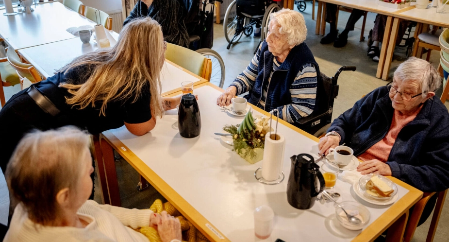 Ældretilsynene har endnu ikke mulighed for at trække data samlet og systematisk ud.