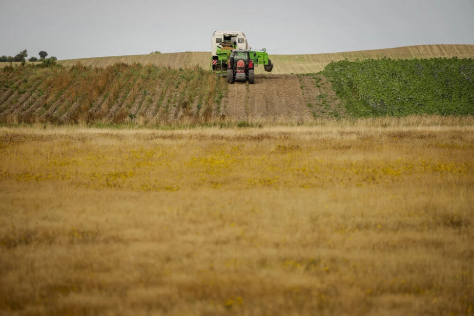 Aftalerne i den grønne trepart indebærer en gennemgribende omlægning af Danmarks areal og en række initiativer for at beskytte miljøet og reducere klimabelastningen. (Arkivfoto)