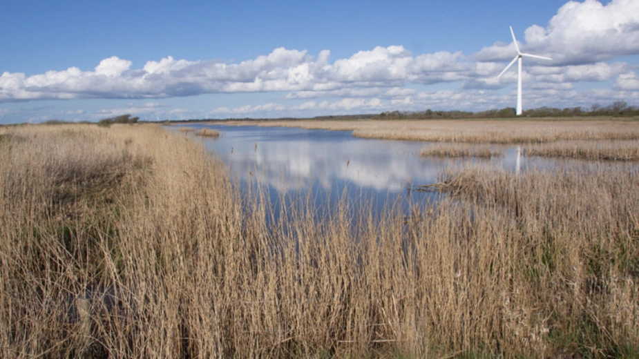 De lavtbeliggende arealer i oplandet til Nissum Fjord – heriblandt naturområdet Felsted Kog, der udgør den sydøstlige del af fjorden - er i centrum for omlægningsplanen, som den lokale trepart, der spænder over fem kommuner, netop har vedtaget.