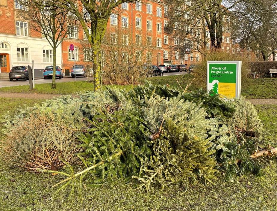 Her på Ingerslev Boulevard - ét af 16 juletræsspots i Aarhus - kunne man frem til 15. januar aflevere juletræer.