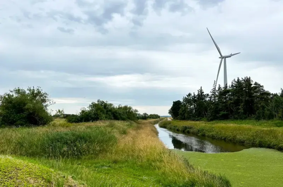 Klimatilpasningen skal laves lokalt for at kommunerne når i mål med klimamål frem mod 2030.