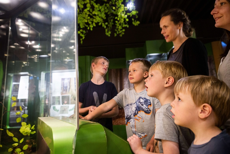 Halvdelen af bevillingen til et nyt science-museum i Aarhus skal nu i stedet gå til det nye stadionprojekt.