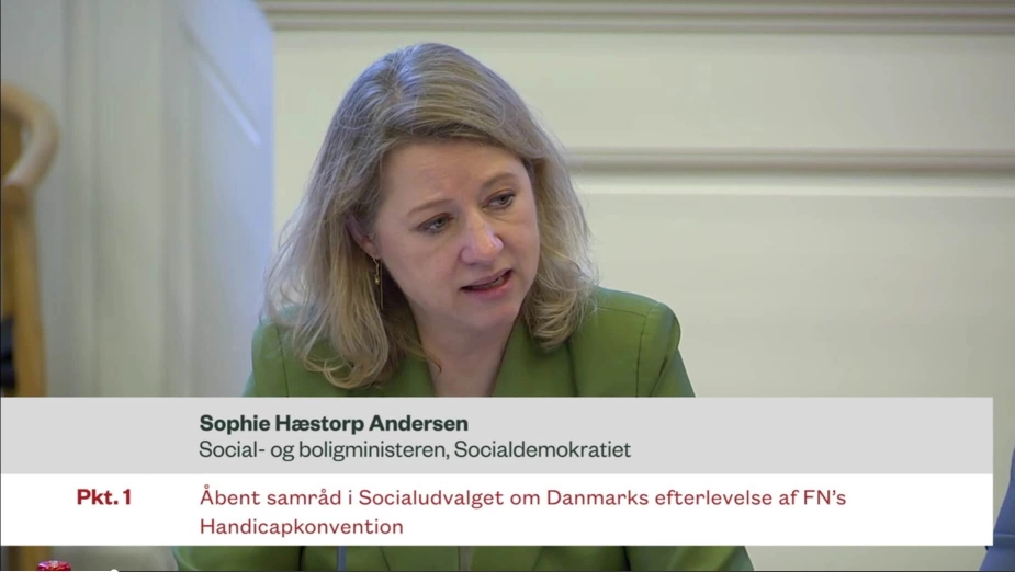 "Vi har i dag i Danmark et kommunalt selvstyre. Og hvis alle kommunerne i Danmark så ud på samme måde, ville det ikke nødvendigvis være til fordel for borgerne. Det vil blot sætte barren på et minimumsniveau, og dermed forringe kvaliteten for en lang række borgere," siger Sophie Hæstorp Andersen.